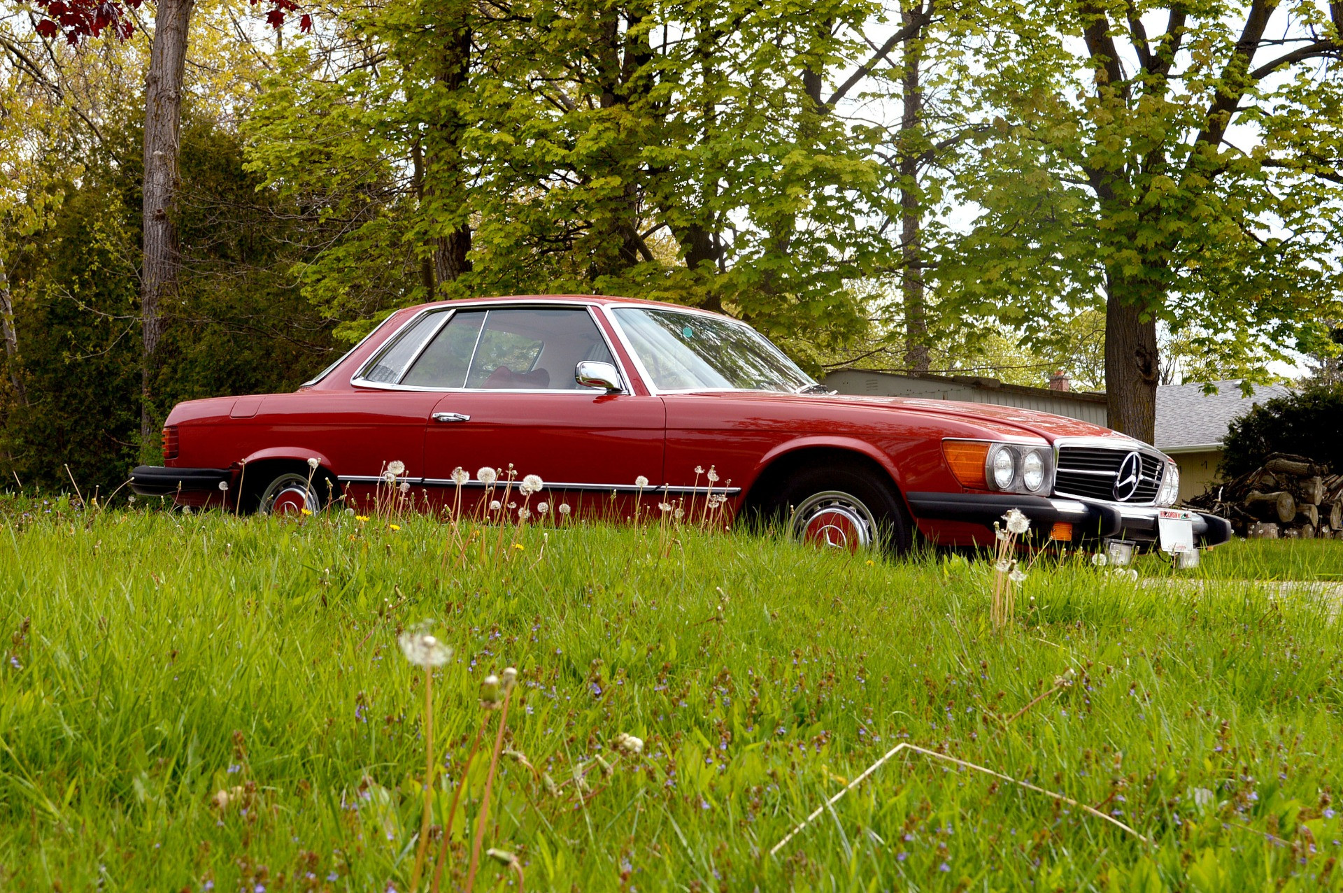Black Forest Benz in Milwaukee, WI