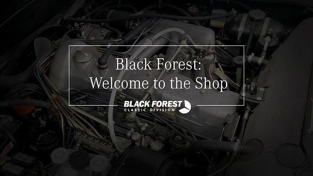 Black Forest Benz in Milwaukee, WI (2)