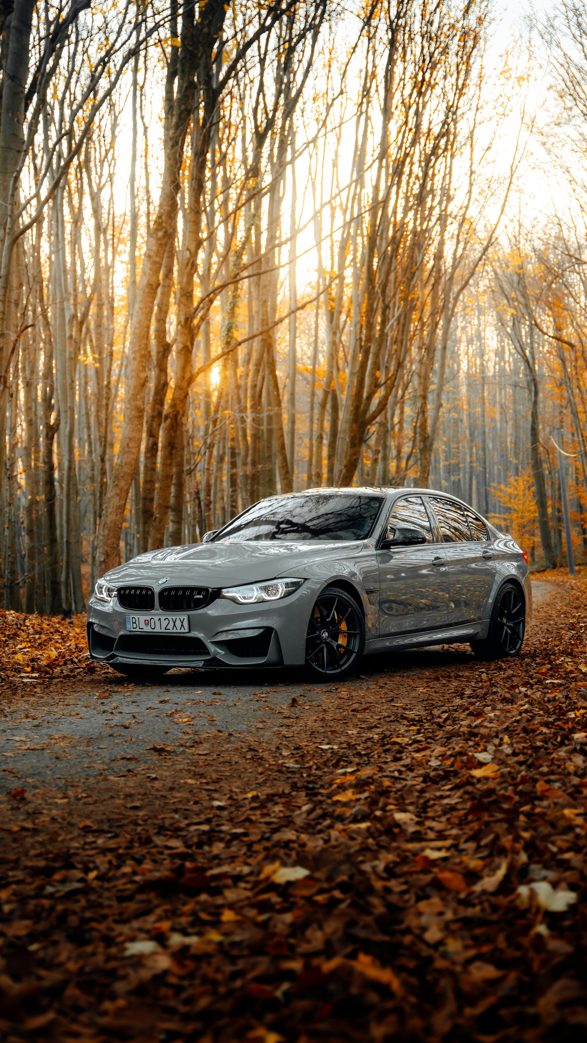 Iannelli Autocars, Inc. in North Ridgeville, OH