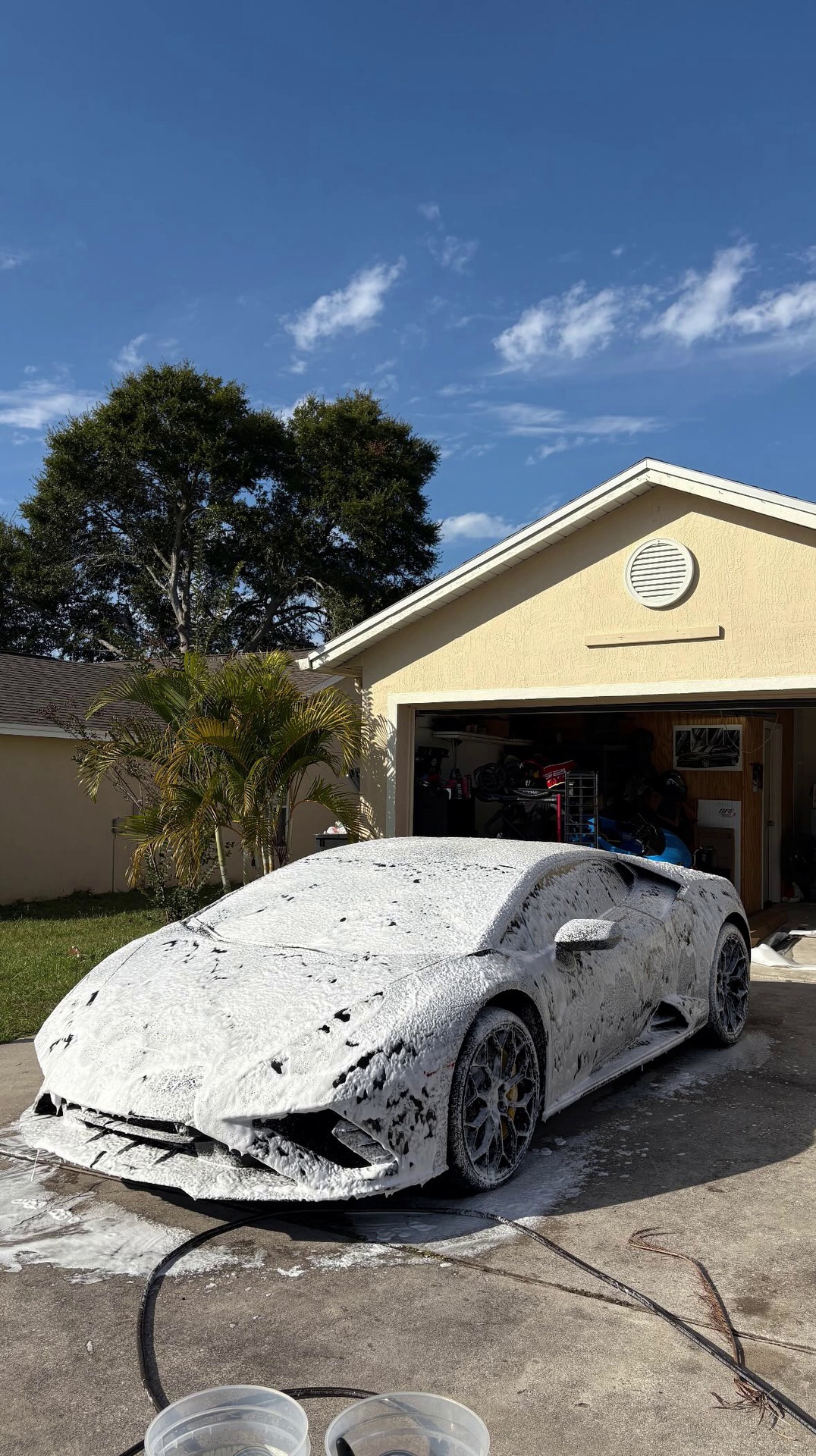Canario Detailing in Dundee, FL (3)