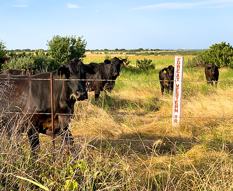 Edge of the West Land Company Real Estate in Brady, TX (2)