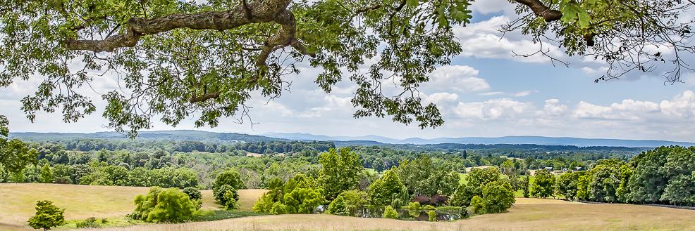 Sheridan MacMahon Ltd Realtors in Middleburg, VA (2)