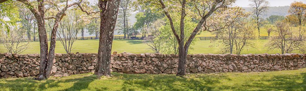 Sheridan MacMahon Ltd Realtors in Middleburg, VA (3)