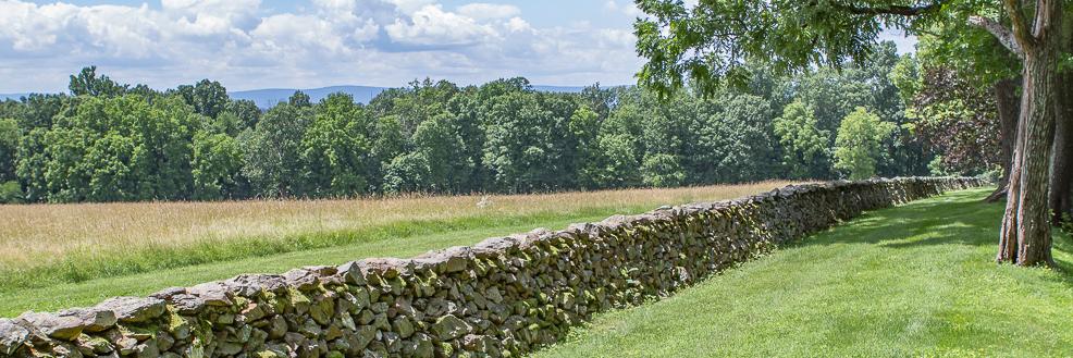 Sheridan MacMahon Ltd Realtors in Middleburg, VA (5)