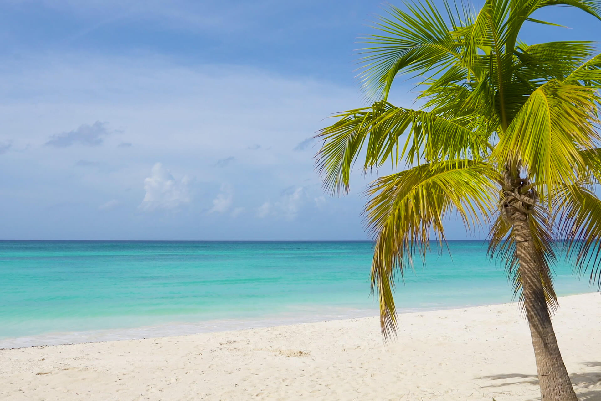 Island Dreams Realty in Bradenton, FL