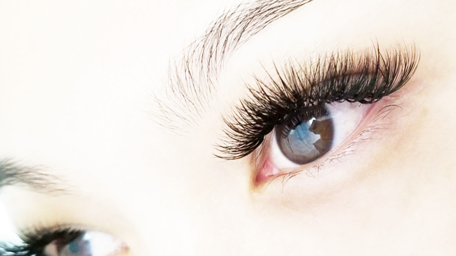 DOLLY EFFECT - Your Lash Beautifier in Colma, CA