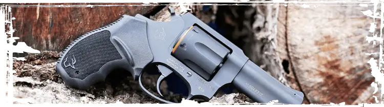 Corvus Arms, LLC in Los Fresnos, TX (5)