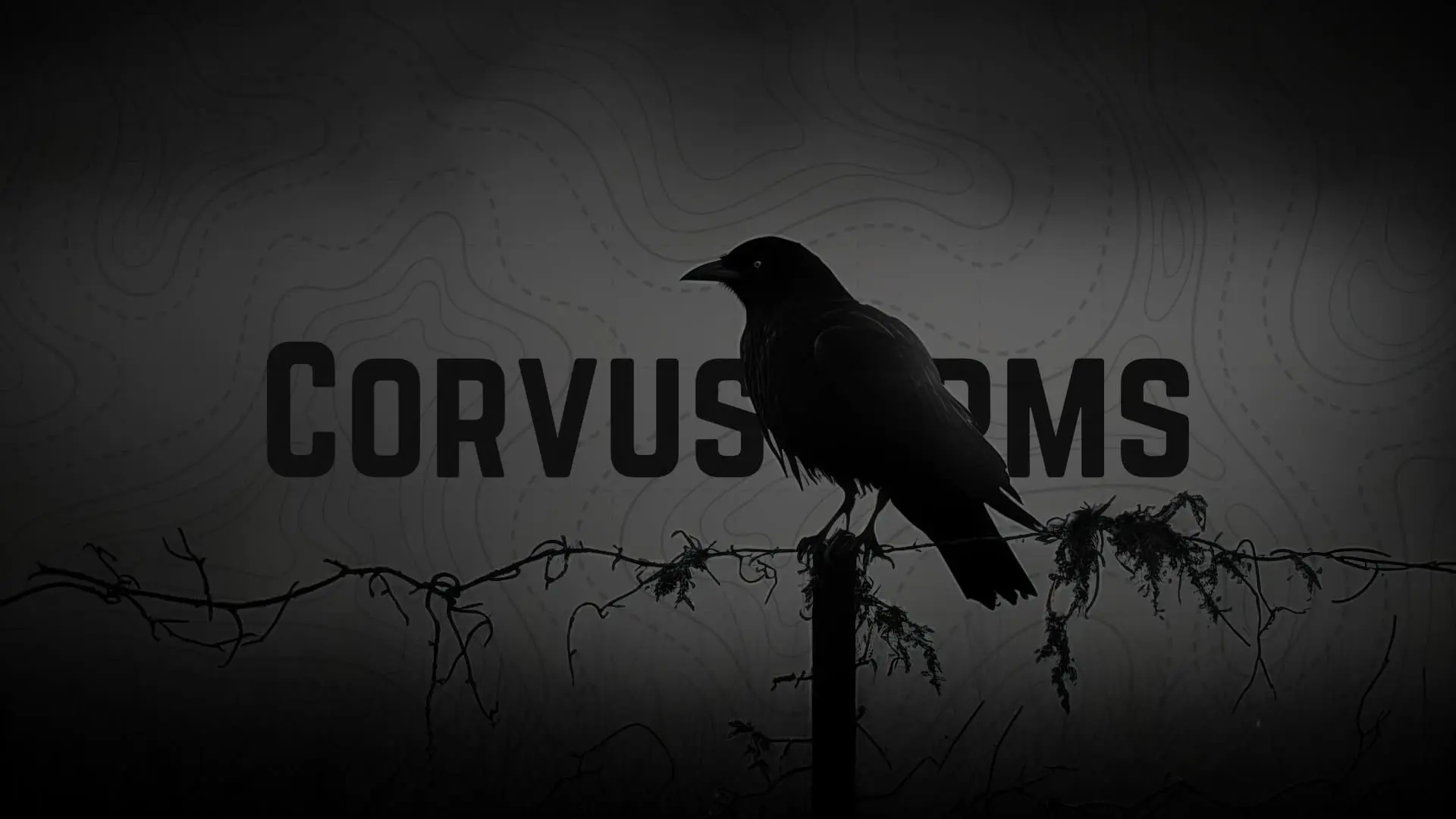 Corvus Arms, LLC in Los Fresnos, TX (6)