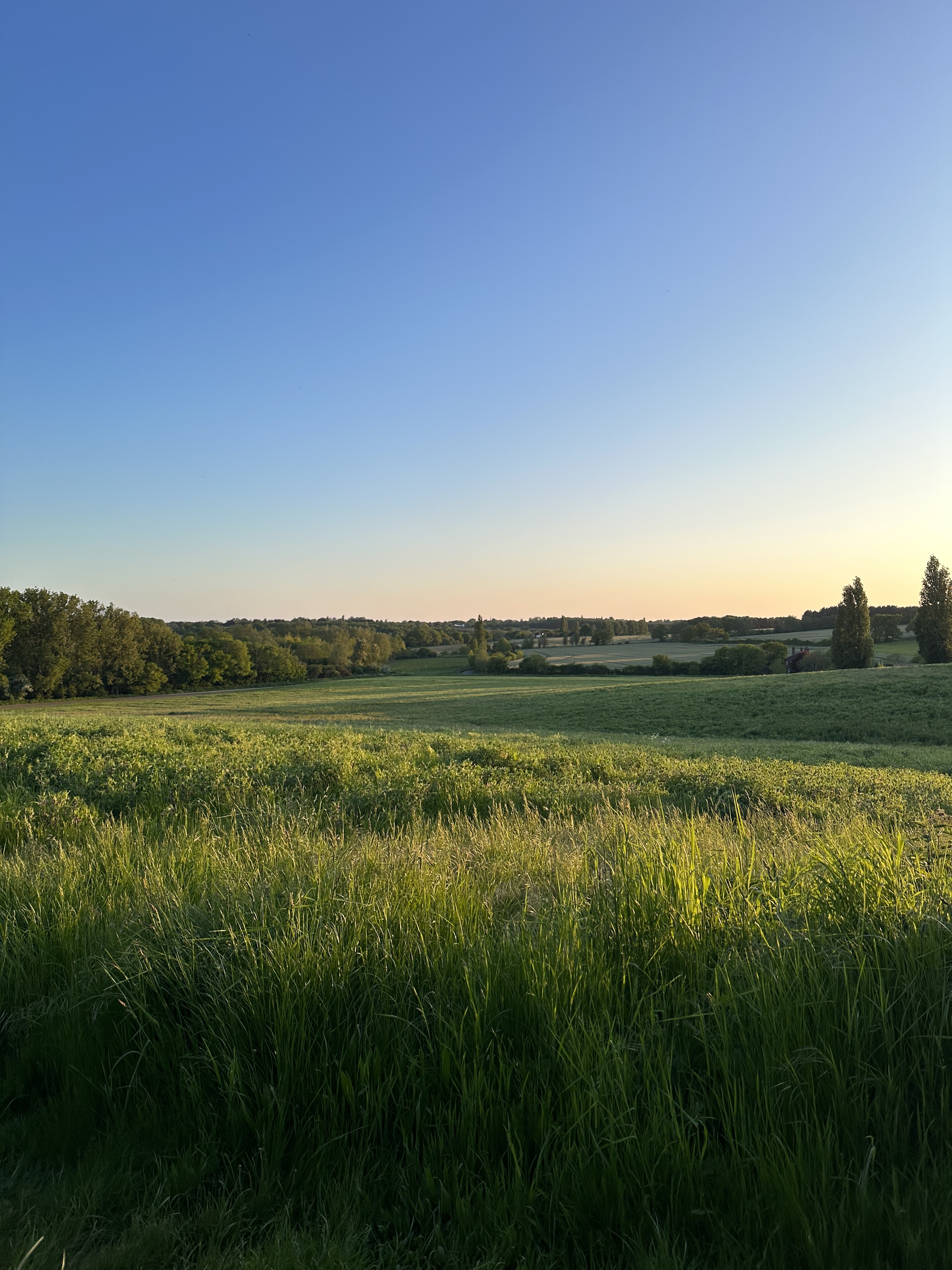 Stephanie Smego - REALTOR® in Selinsgrove, PA