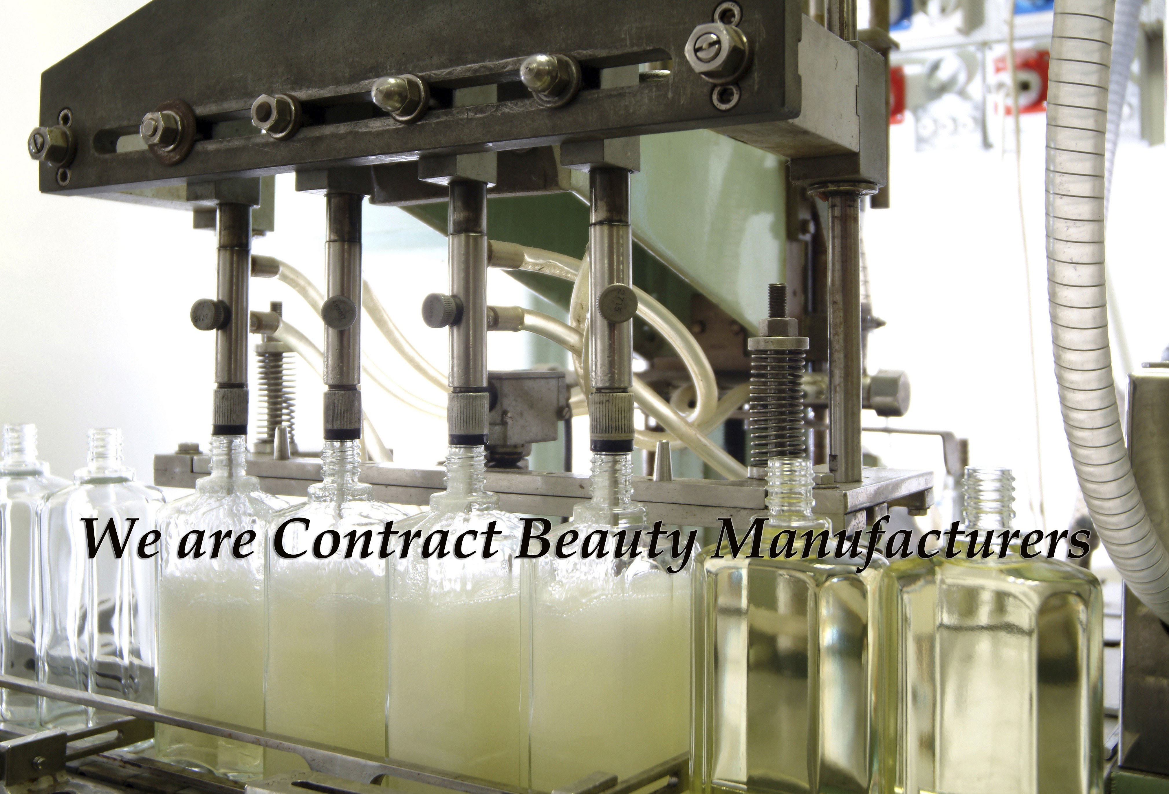 mSEED group LLC in South Holland, IL (2)