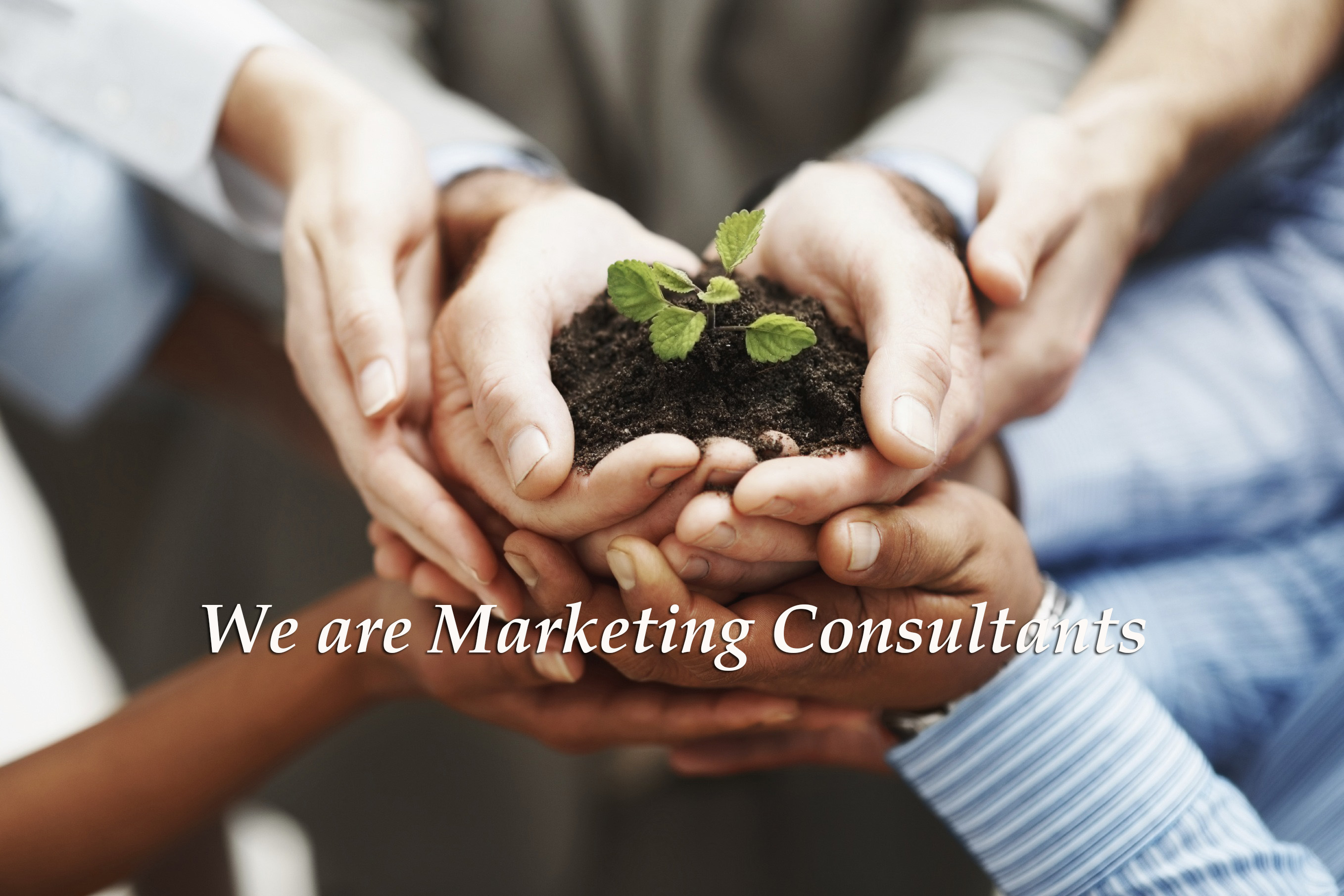 mSEED group LLC in South Holland, IL (4)