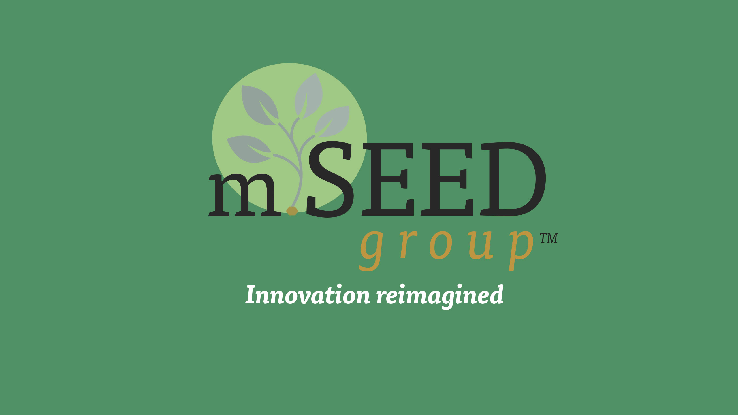 mSEED group LLC in South Holland, IL (5)