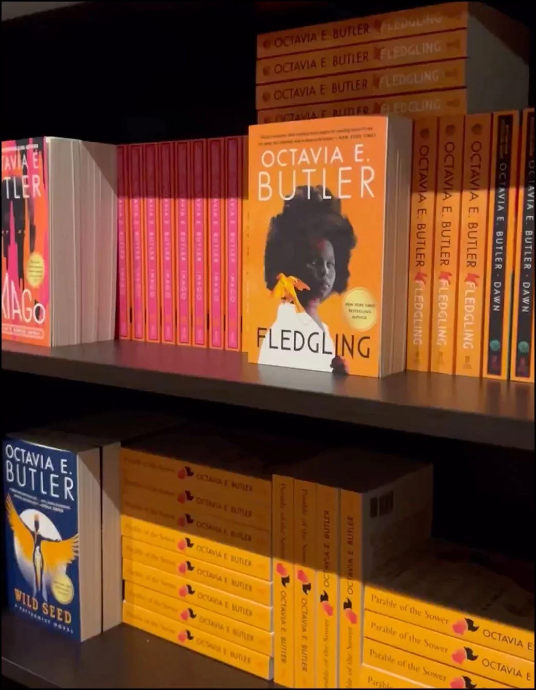 Octavia’s Bookshelf in Pasadena, CA (5)