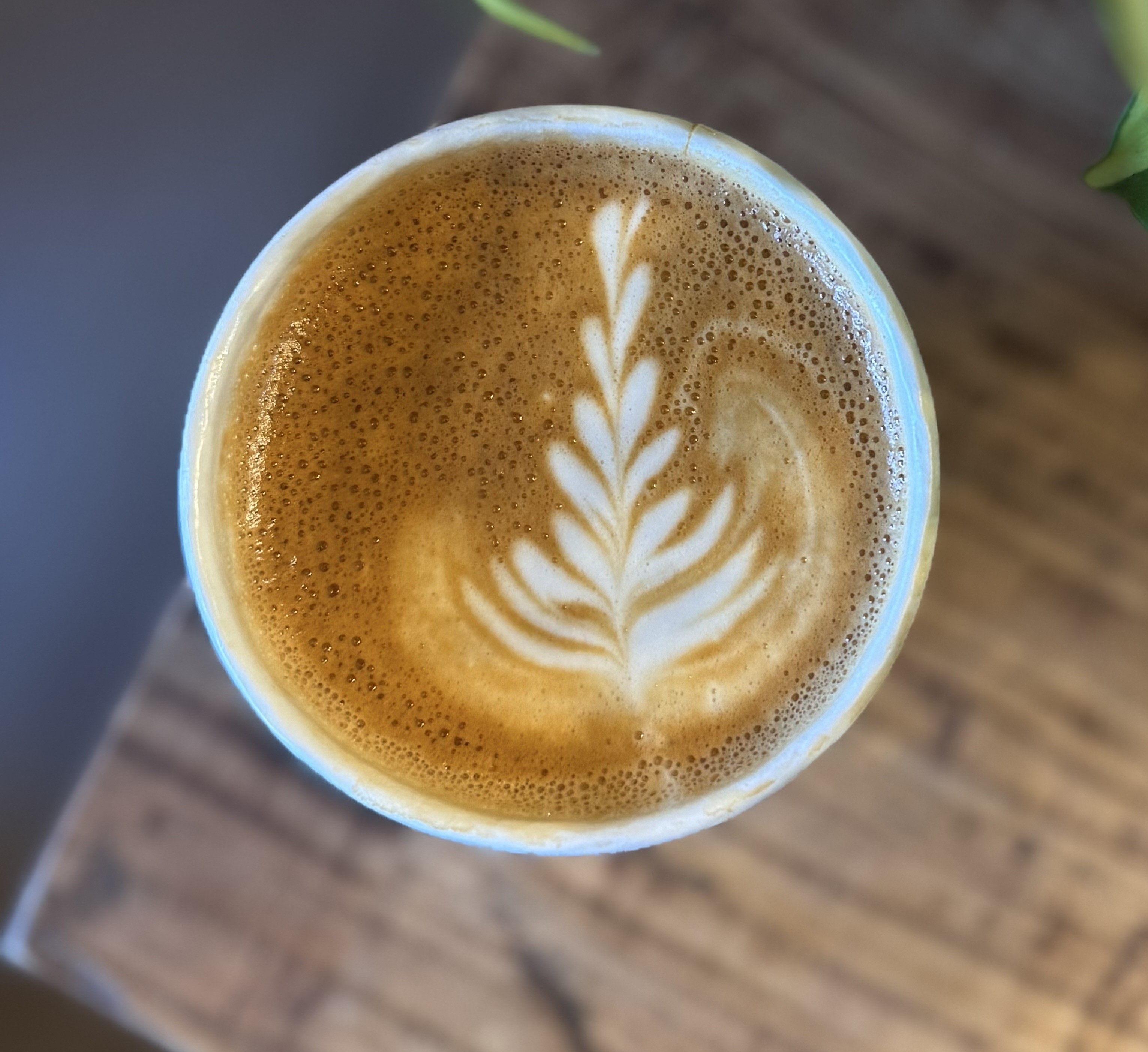 Zook Coffee in Alliance, OH (3)