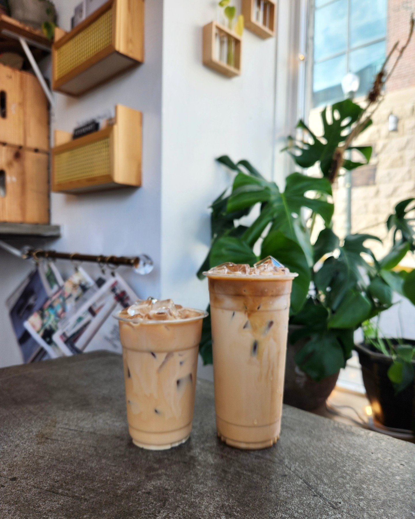 Pressed Coffee & Books in Pottsville, PA (4)