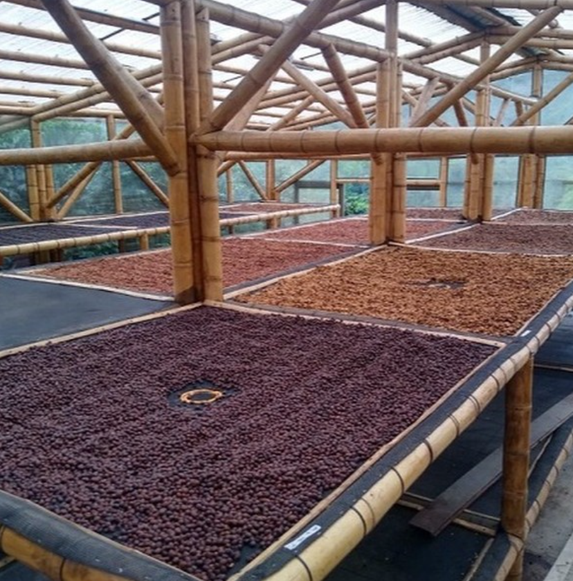 Pioneer Coffee Roasters in Dalton, OH (2)