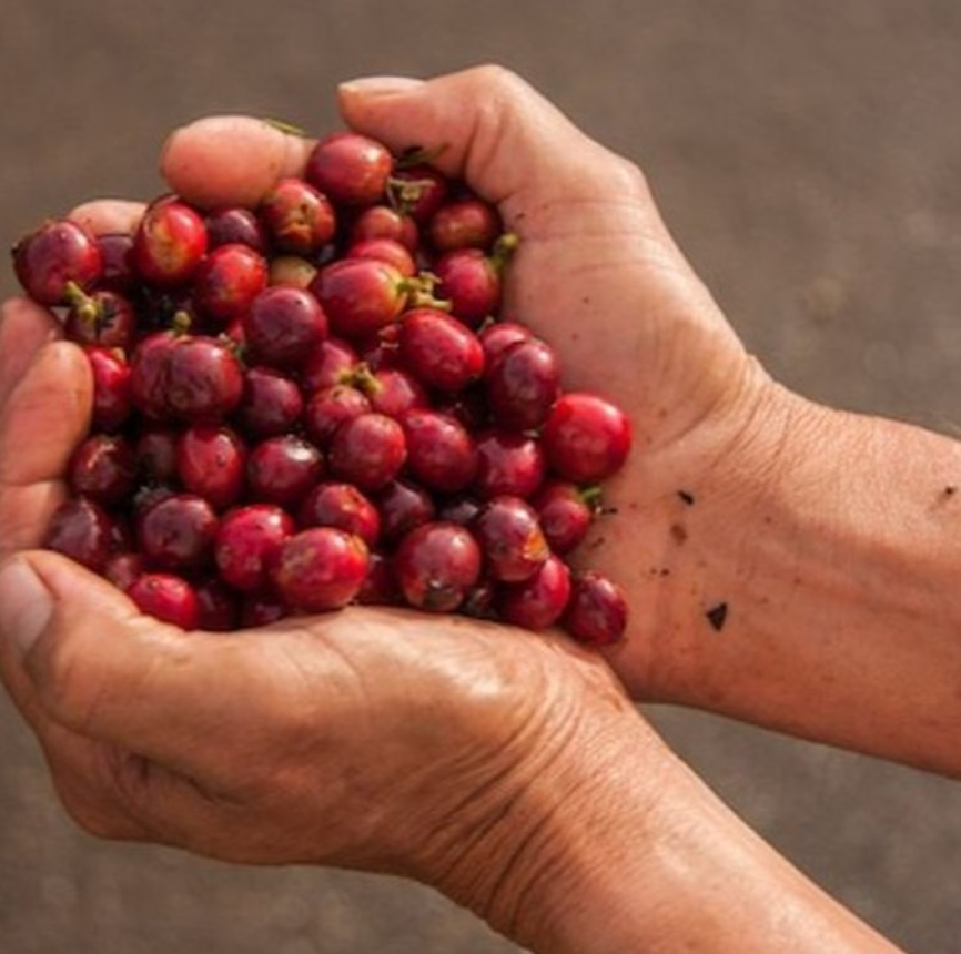 Pioneer Coffee Roasters in Dalton, OH (3)