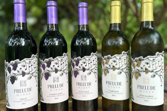 Vin Noir Explorers and Importers in Point Harbor, NC (6)