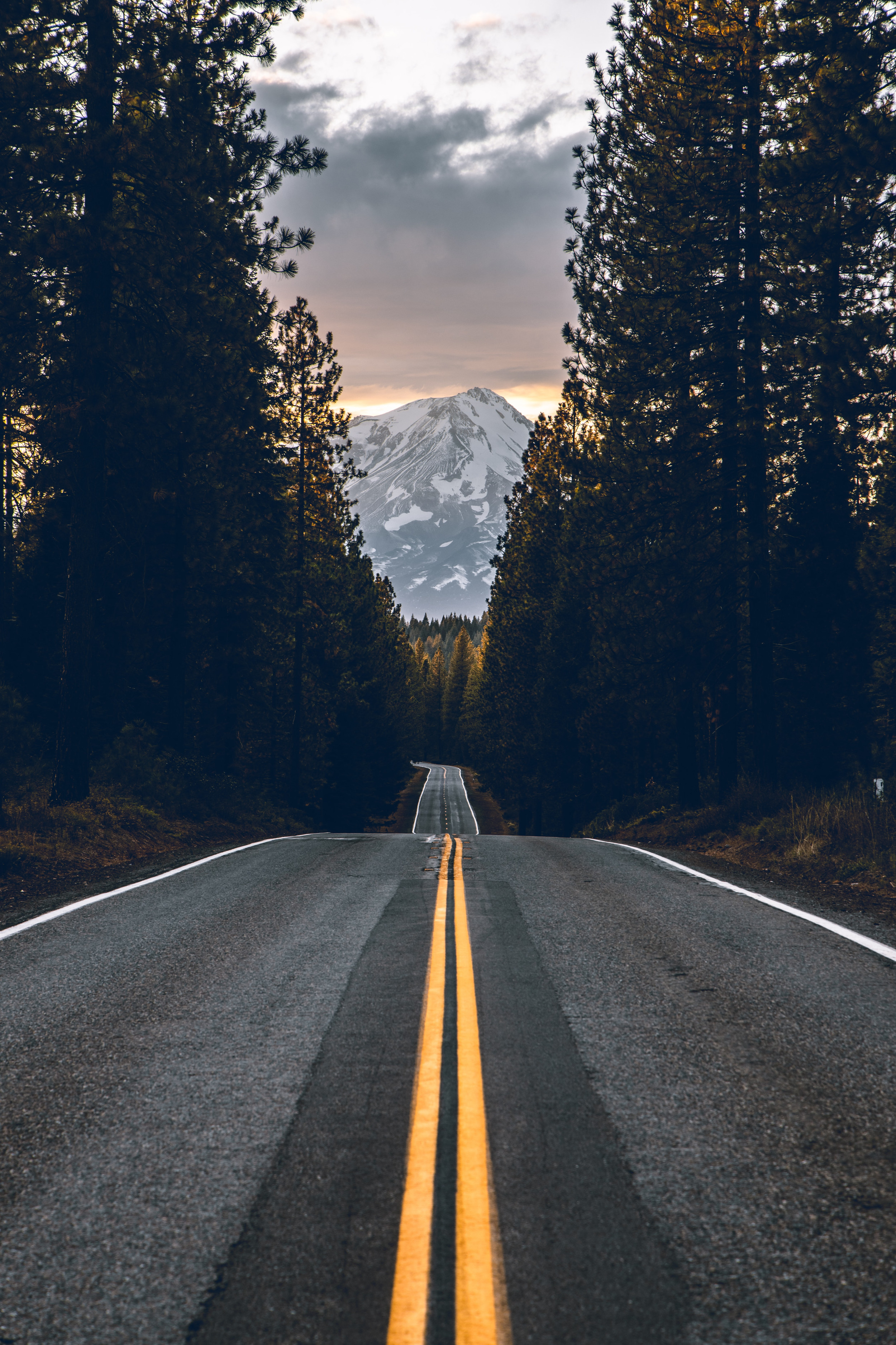 Reese Smalley Wiseman & Schwietzer, LLP in Redding, CA (2)