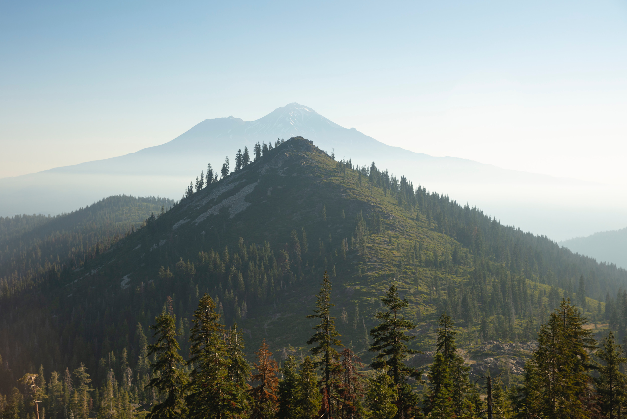 Reese Smalley Wiseman & Schwietzer, LLP in Redding, CA (6)