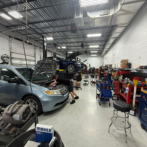 Supreme Auto Care in Safety Harbor, FL (5)