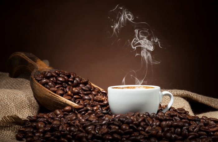 Day Traders Bean and Brew LLC in Galesville, WI