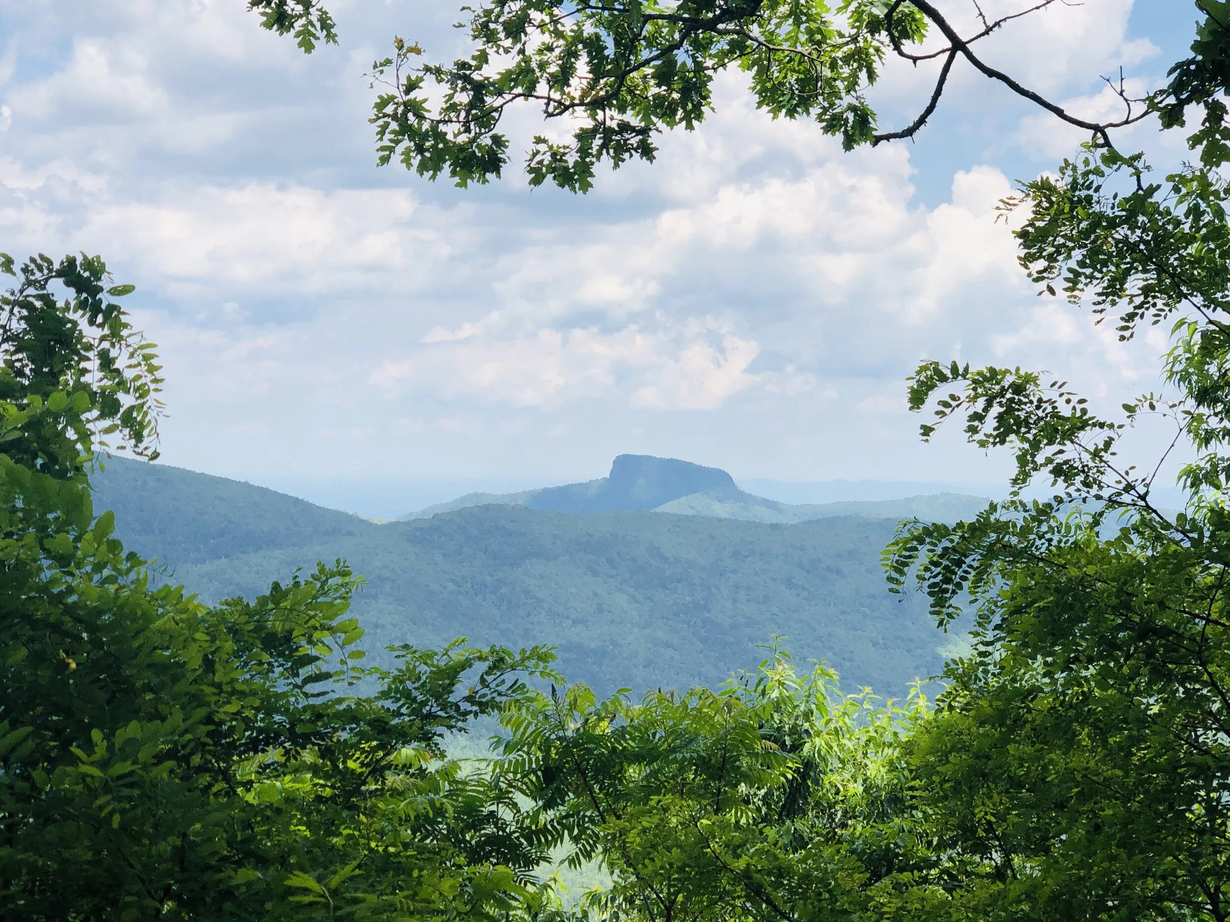 WNC Real Estate Inc. in Morganton, NC (2)