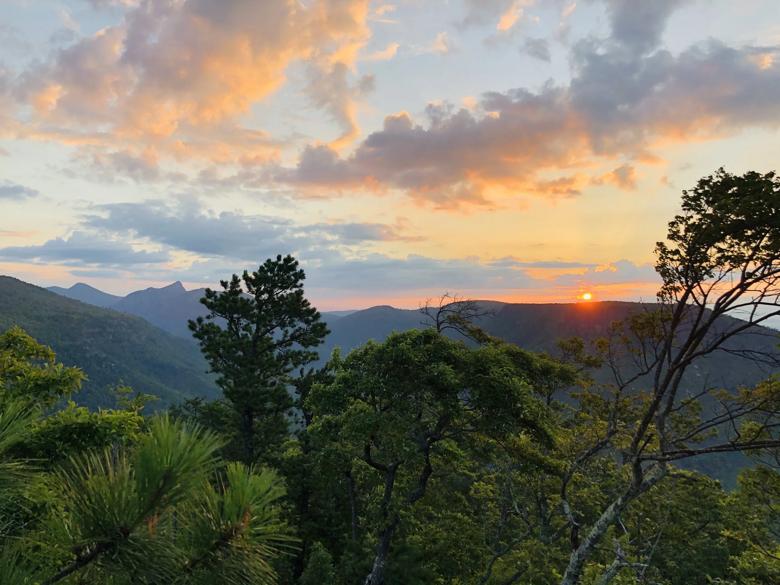 WNC Real Estate Inc. in Morganton, NC (4)