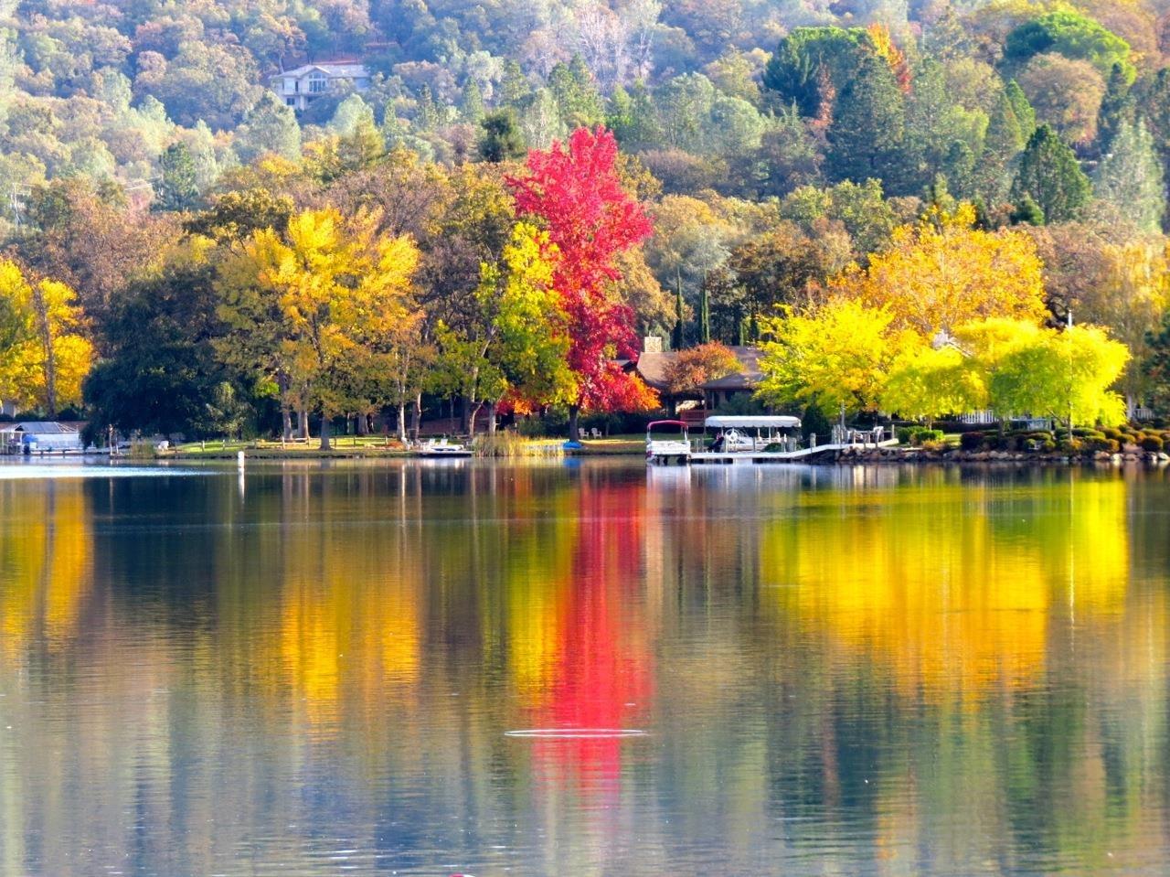 Bob Sawyer Real Estate Agent in Grass Valley, CA (4)