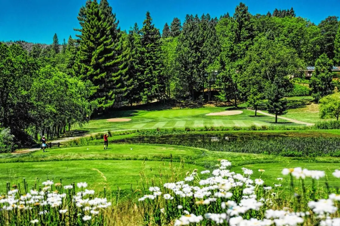 Bob Sawyer Real Estate Agent in Grass Valley, CA (6)