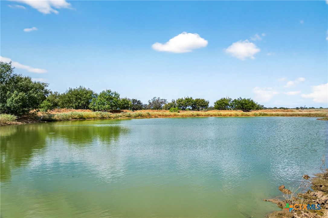 Rodgers Realty Team - Dee Rodgers in Lockhart, TX (4)