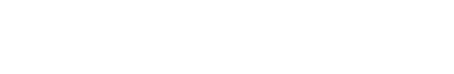 Lesemann & Associates LLC in Aynor, SC (5)