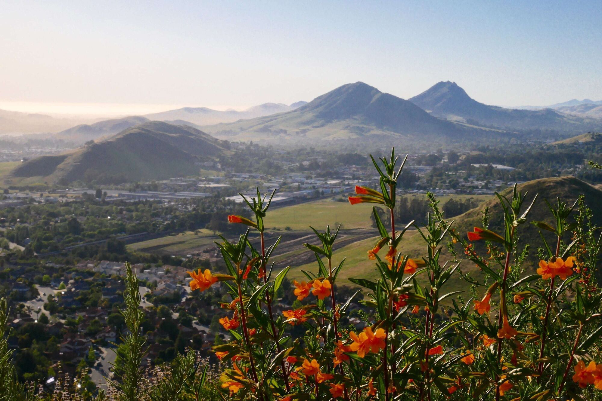 Nicholson John E D Attorney At Law in Paso Robles, CA (2)