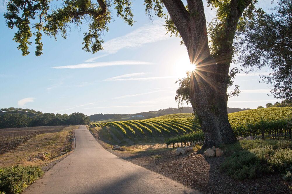 Nicholson John E D Attorney At Law in Paso Robles, CA (6)