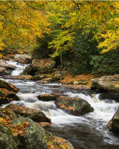 Blue Ridge Premier Realty in Sylva, NC (6)