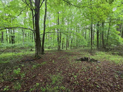 House Hunters Real Estate in Buckhannon, WV (6)