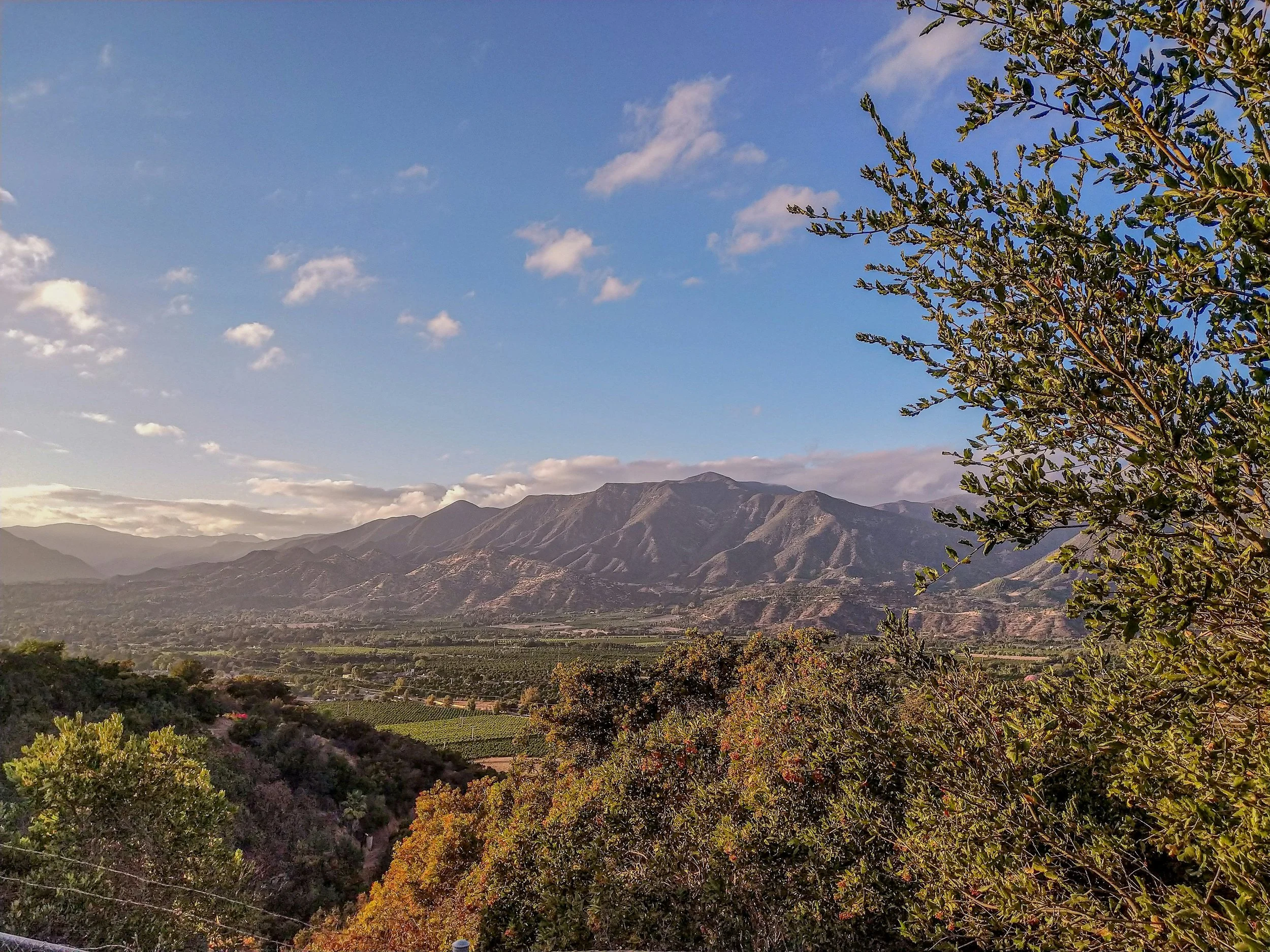 Ojai European Complete Auto Care in Ojai, CA