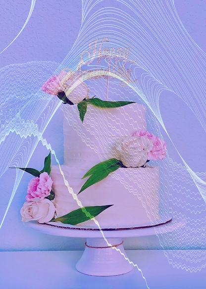 Cake Pop Couture in Frisco, TX (4)