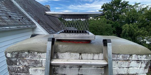 Black Goose Chimney Service in Craigsville, VA (6)