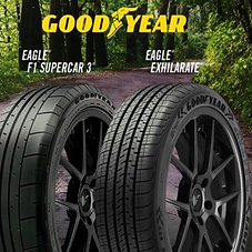 New Direction Tire Company in Cornelius, NC (4)
