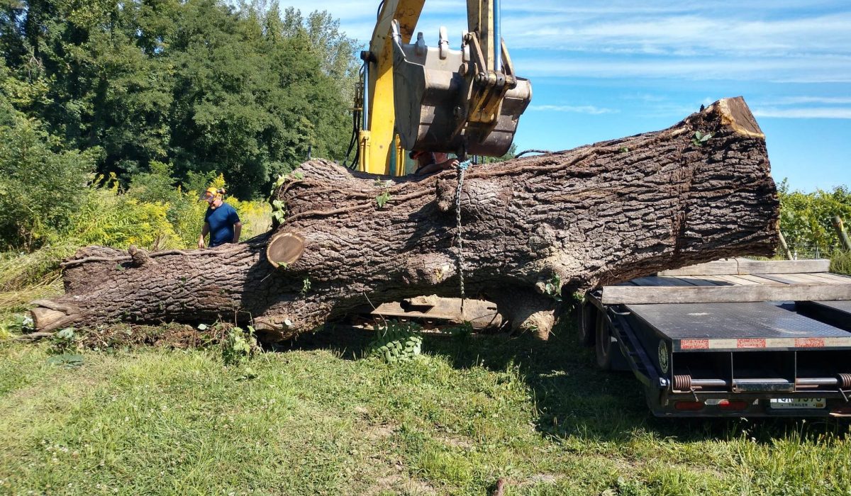 Ghost Logging LLC in Gambier, OH