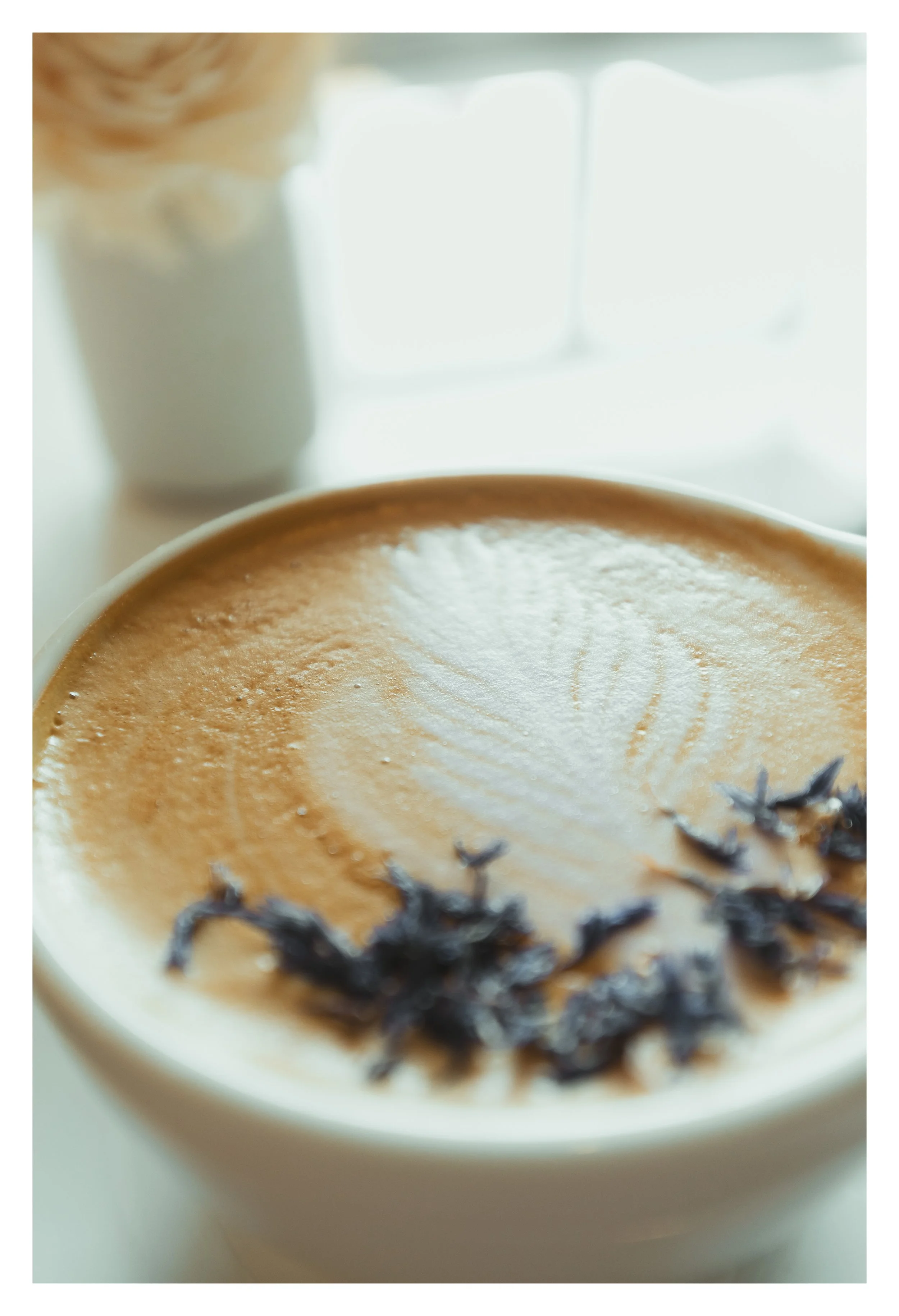 Buzzards Coffee in Carrollton, GA