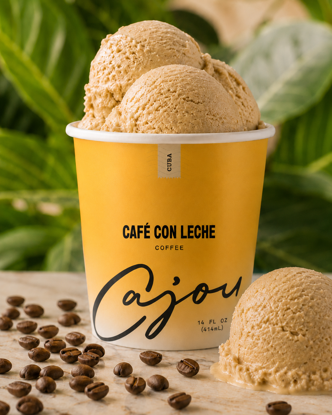 Cajou Plant-Based Ice Cream in Baltimore, MD (6)
