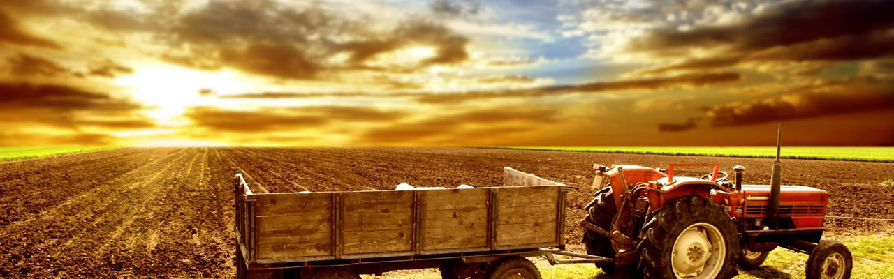Southwest Accounting Inc in Lancaster, WI (2)