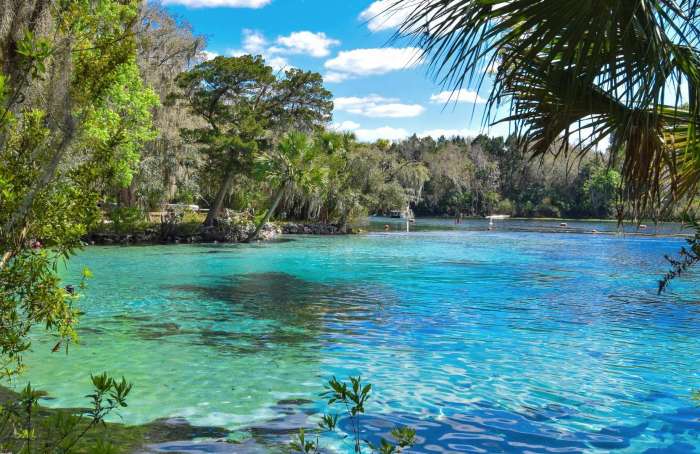 Swanz Premier Realty in Alachua, FL (4)