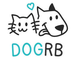 Affordable Family Pet Grooming in Fond du Lac, WI (6)