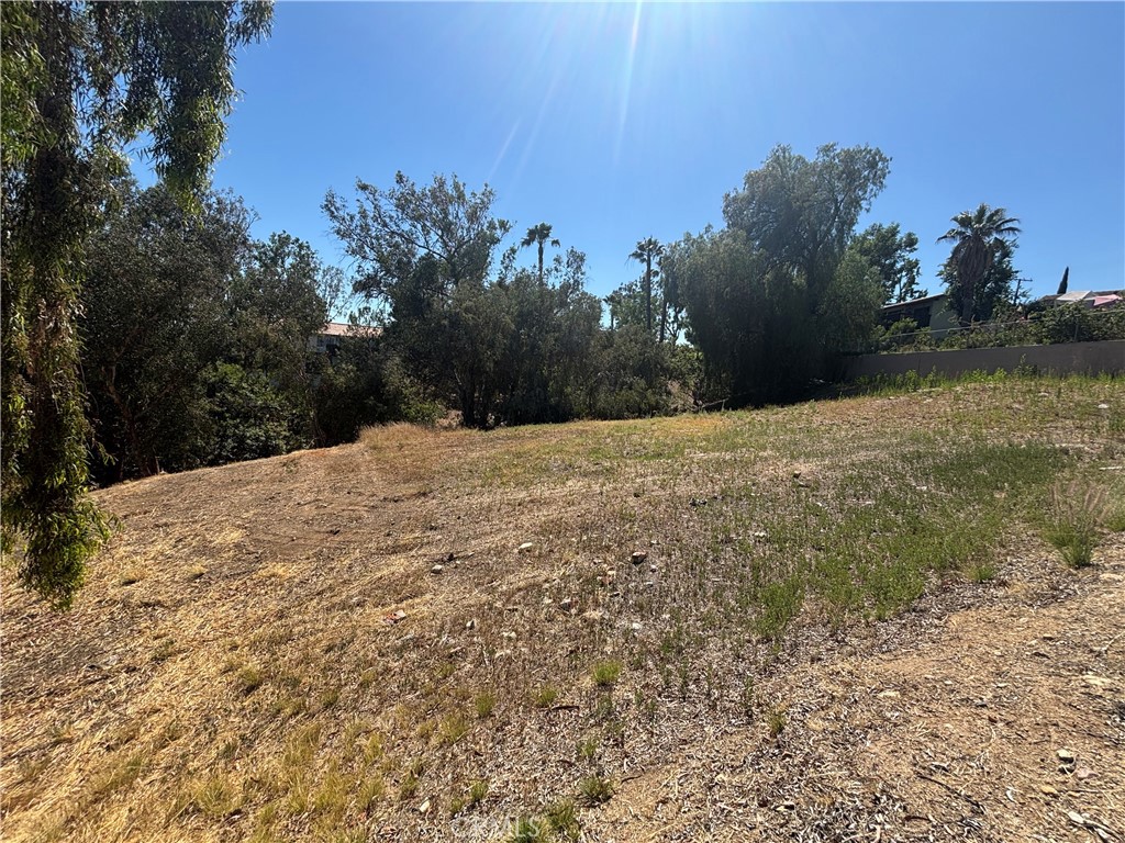 Michelle Clark in Upland, CA (3)