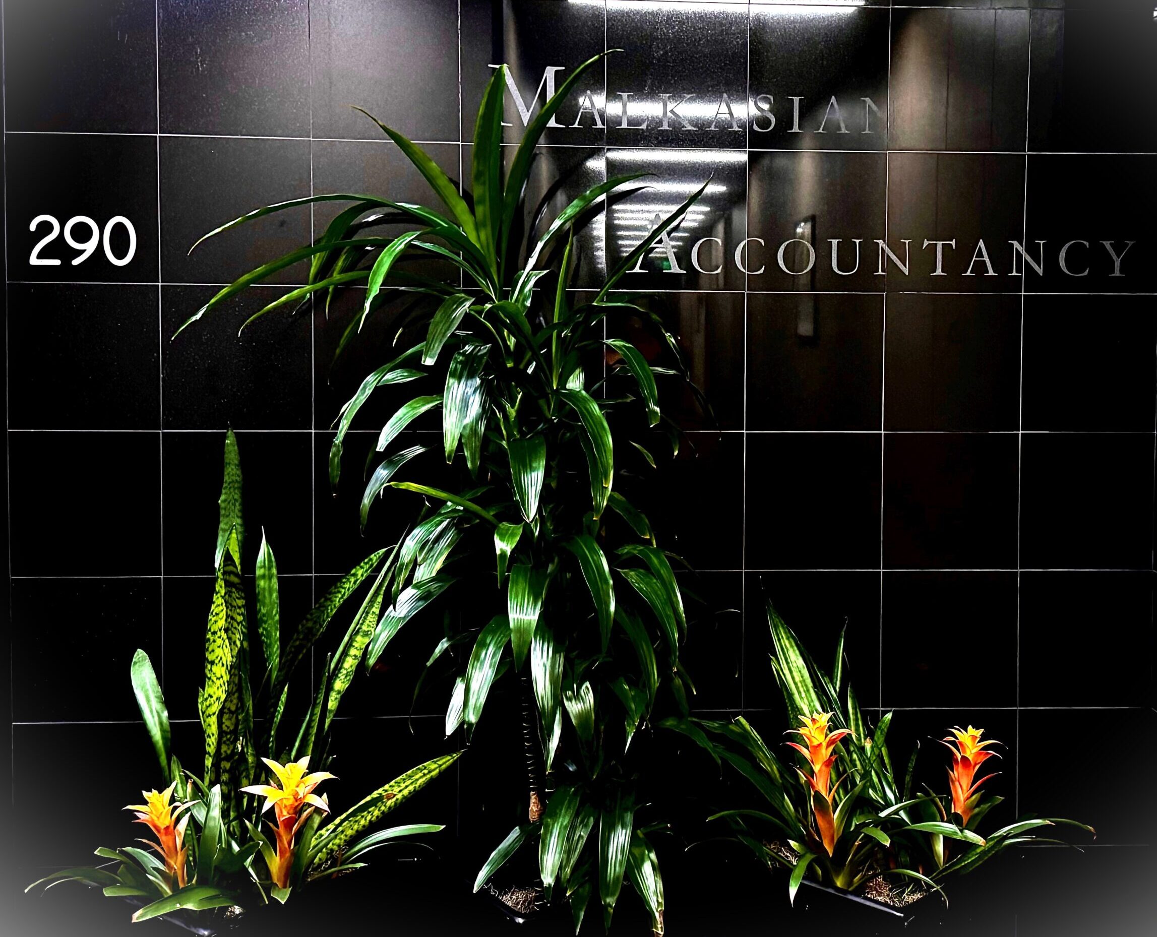 Malkasian Accountancy, LLP in Sacramento, CA