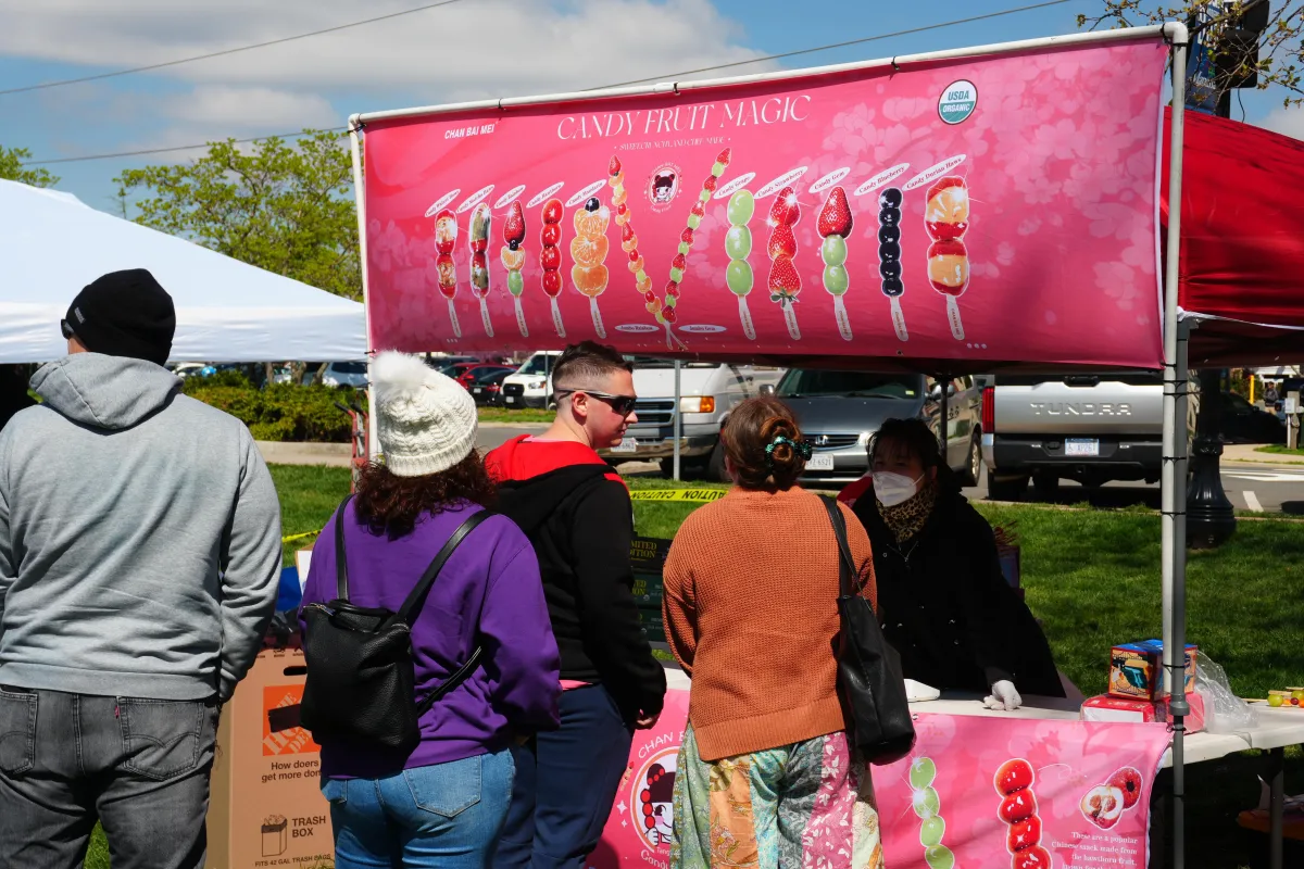 International food festival in Manassas, VA (4)