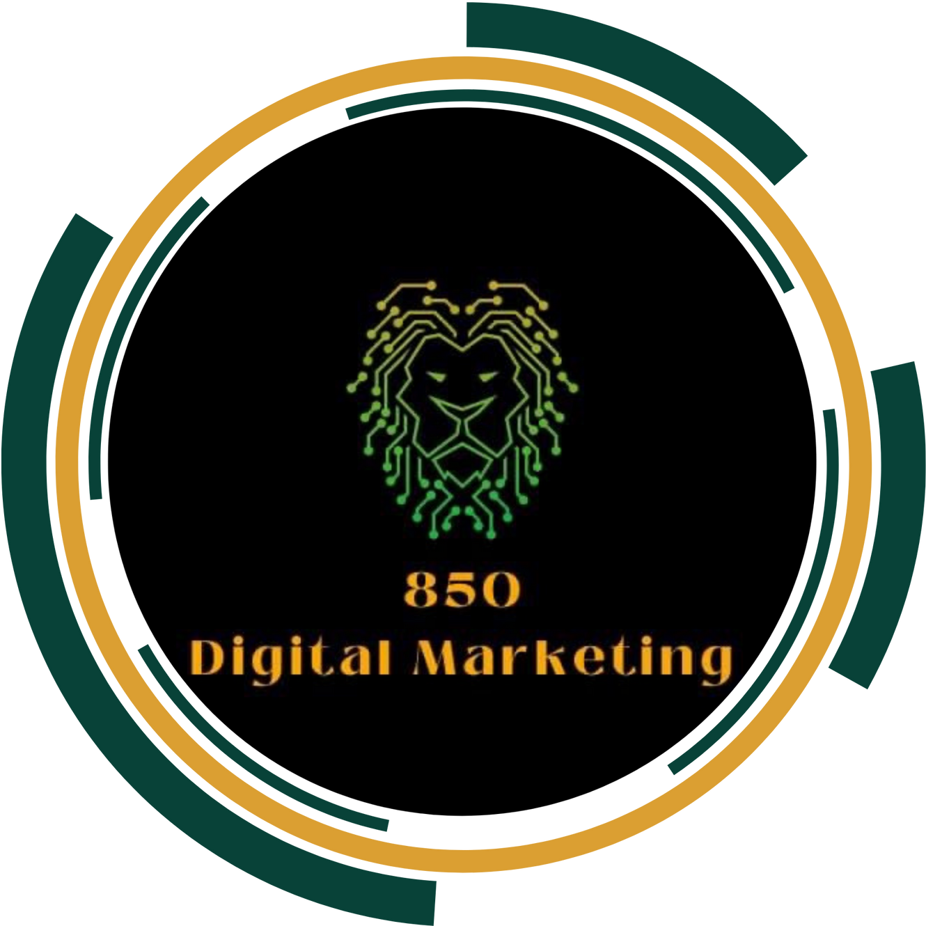 850 Digital Marketing in Steinhatchee, FL